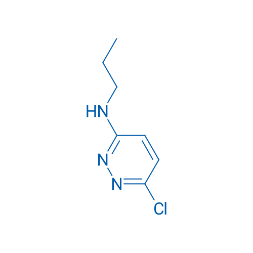 6-Chloro-N-propylpyridazin-3-amine 1g