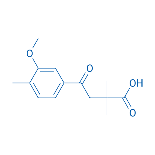 4-(3-Methoxy-4-methylphenyl)-2,2-dimethyl-4-oxobutanoic acid 1g