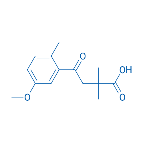 4-(5-Methoxy-2-methylphenyl)-2,2-dimethyl-4-oxobutanoic acid 1g