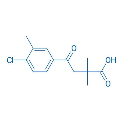 4-(4-Chloro-3-methylphenyl)-2,2-dimethyl-4-oxobutanoic acid 1g