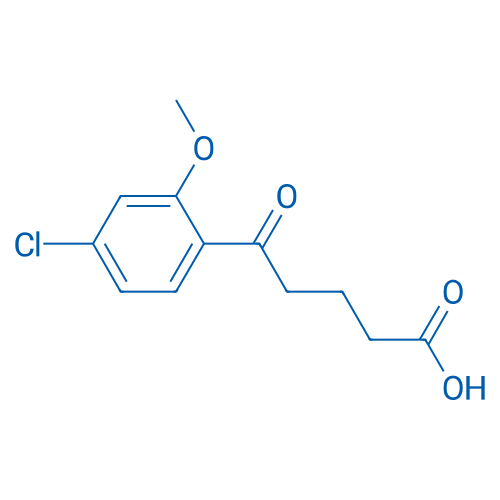 5-(4-Chloro-2-methoxyphenyl)-5-oxopentanoic acid 1g