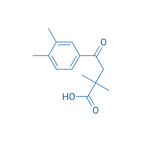4-(3,4-Dimethylphenyl)-2,2-dimethyl-4-oxobutanoic acid 1g