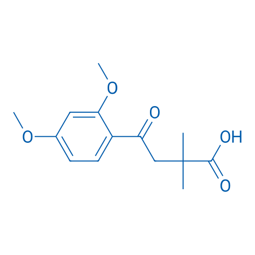 4-(2,4-Dimethoxyphenyl)-2,2-dimethyl-4-oxobutanoic acid 1g