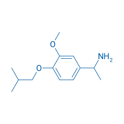 1-[3-Methoxy-4-(2-methylpropoxy)phenyl]ethan-1-amine 1g