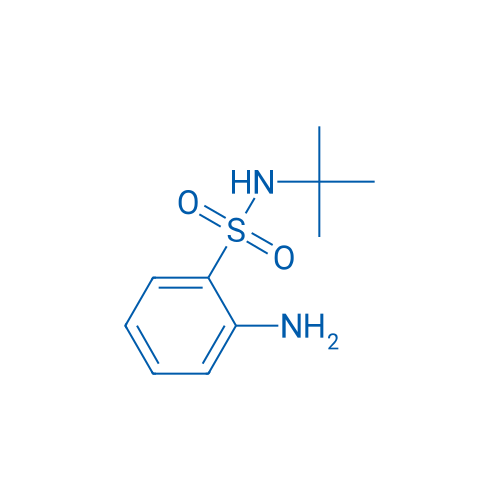 2-Amino-N-(tert-butyl)benzenesulfonamide 1g