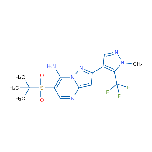 2-[1-Methyl-5-(trifluoromethyl)-1H-pyrazol-4-yl]-6-(2-methylpropane-2-sulfonyl)pyrazolo[1,5-a]pyrimidin-7-amine 1g
