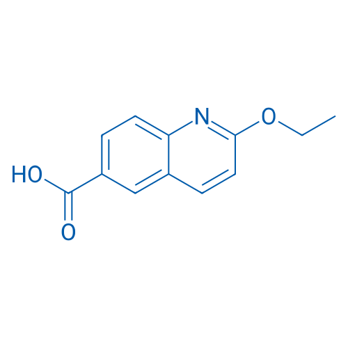 2-Ethoxyquinoline-6-carboxylic acid 100mg
