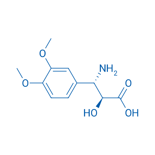 (2S,3S)-3-Amino-3-(3,4-dimethoxyphenyl)-2-hydroxypropanoic acid 1g