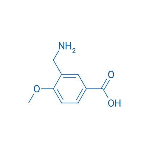 3-(Aminomethyl)-4-methoxybenzoic acid 1g