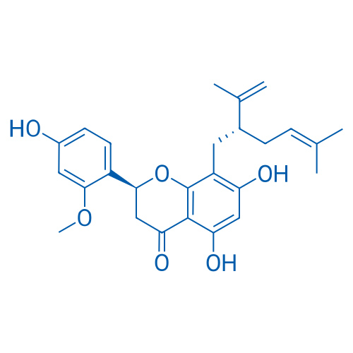 Leachianone A 10mg