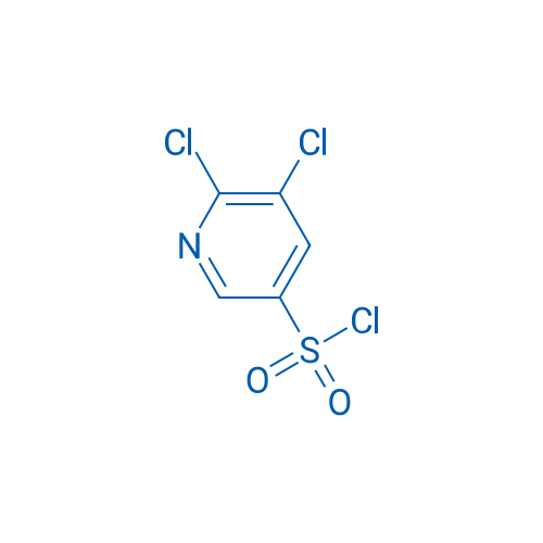 5,6-Dichloropyridine-3-sulfonyl chloride 250mg