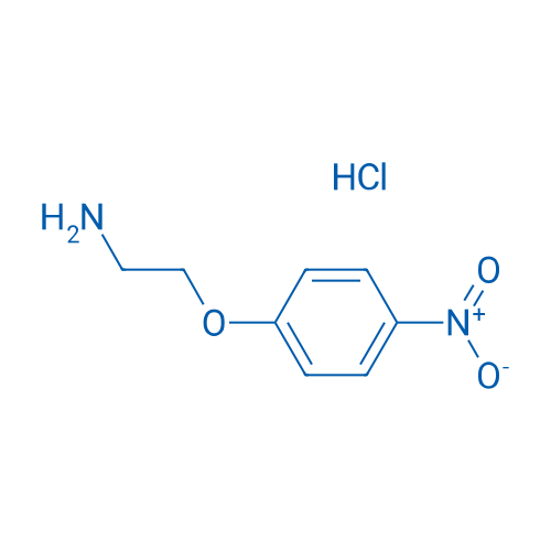 2-(4-Nitrophenoxy)ethanamine hydrochloride 1g