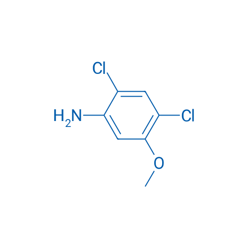 2,4-Dichloro-5-Methoxyaniline 500g