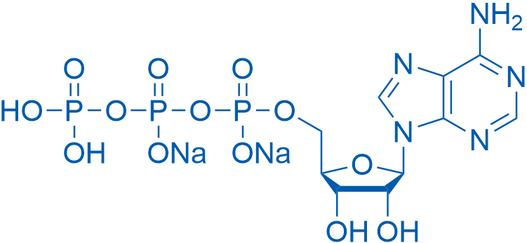 ATP disodium salt 1g