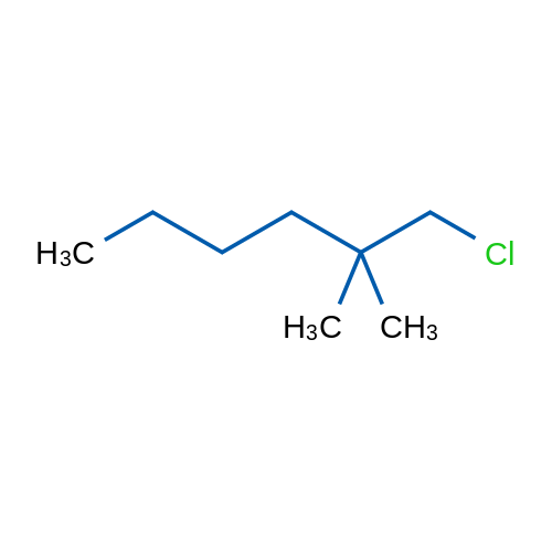 1-Chloro-2,2-dimethylhexane 1g