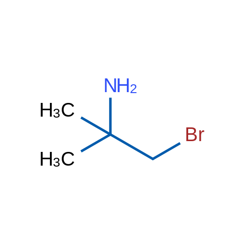 1-Bromo-2-methylpropan-2-amine 1g