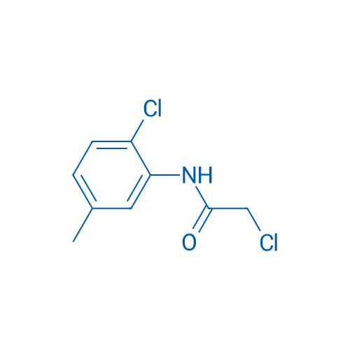 2-Chloro-N-(2-chloro-5-methylphenyl)acetamide 1g