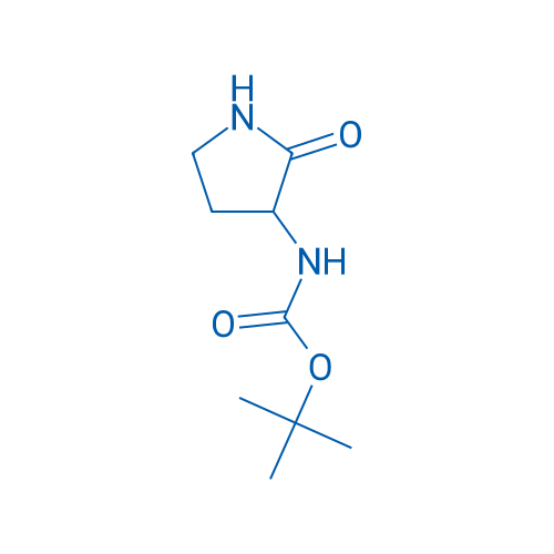 tert-Butyl (2-oxopyrrolidin-3-yl)carbamate 10g
