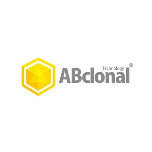 Phospho-GluR2/GRIA2-S880 Rabbit pAb