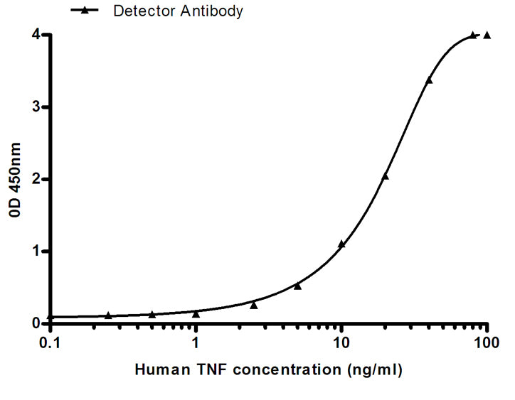 TNF alpha (5F3) Mouse Monoclonal Antibody