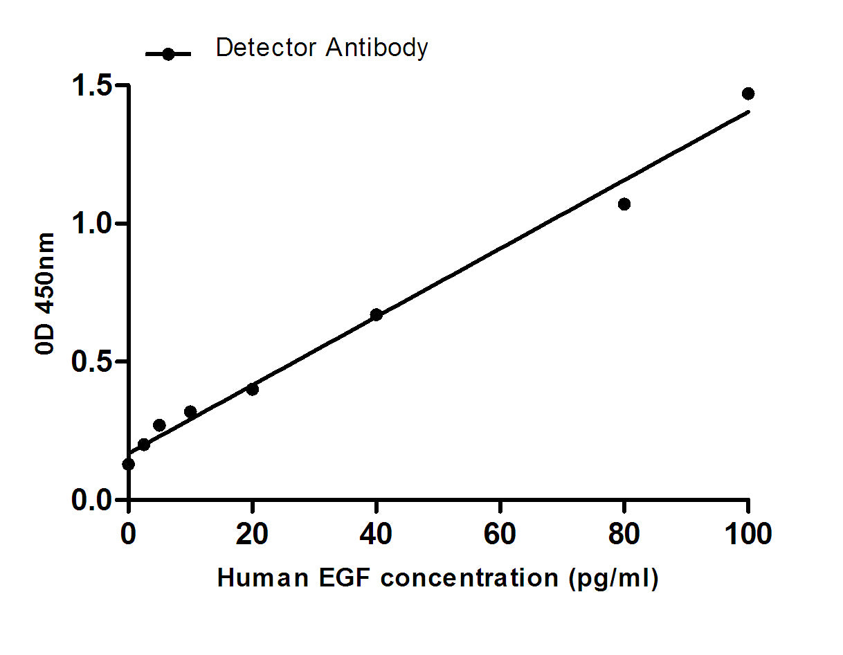 EGF (7C11) Mouse Monoclonal Antibody