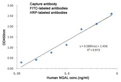 Lipocalin 2 (2F6) Mouse Monoclonal Antibody