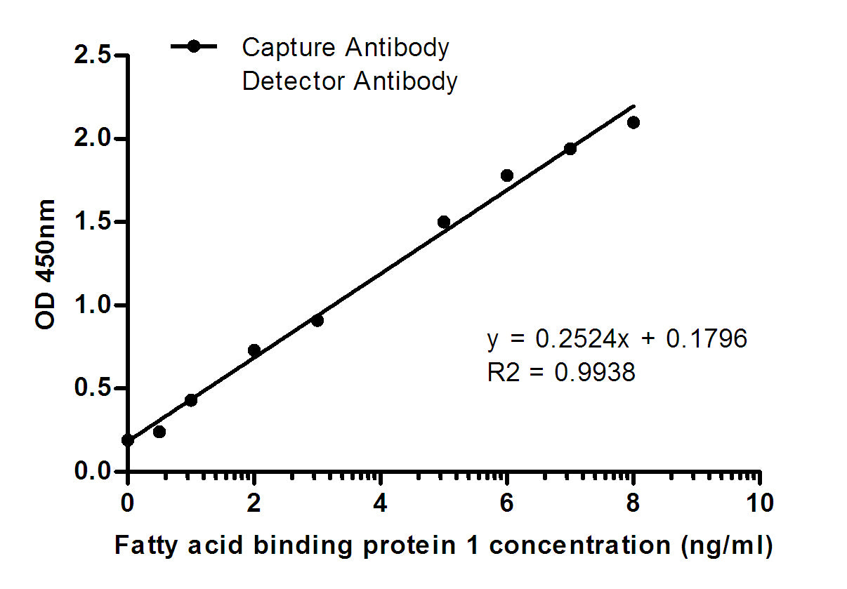 FABP1 (8G6) Mouse Monoclonal Antibody