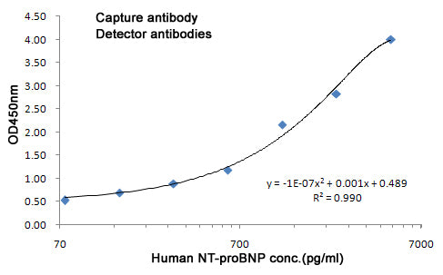 Natriuretic Peptides B (3C9) Mouse Monoclonal Antibody