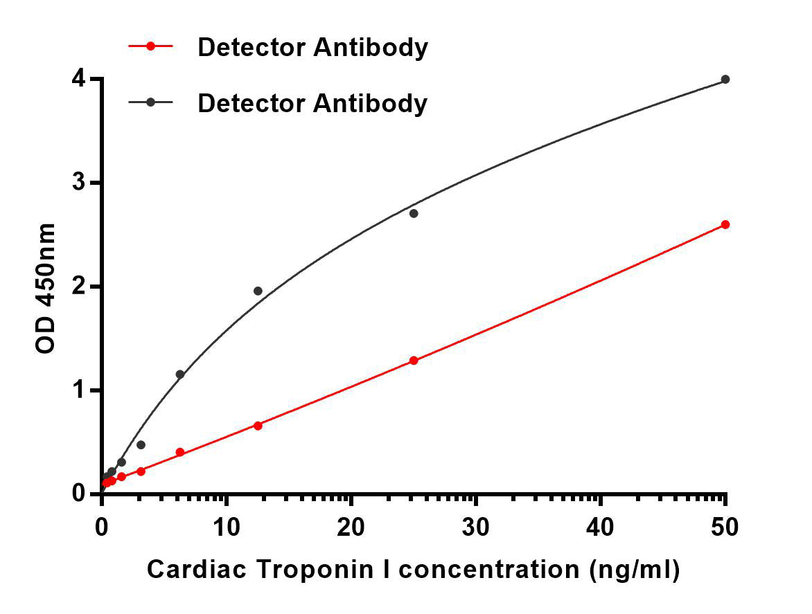 Cardiac Troponin I (1D7) Mouse Monoclonal Antibody