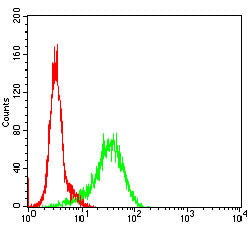 GSK3 beta Mouse Monoclonal Antibody