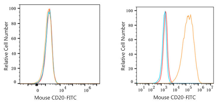 FITC-conjugated Goat anti-Rat IgG (H+L)