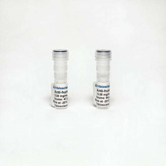 Monoclonal Anti-human IgE antibody.