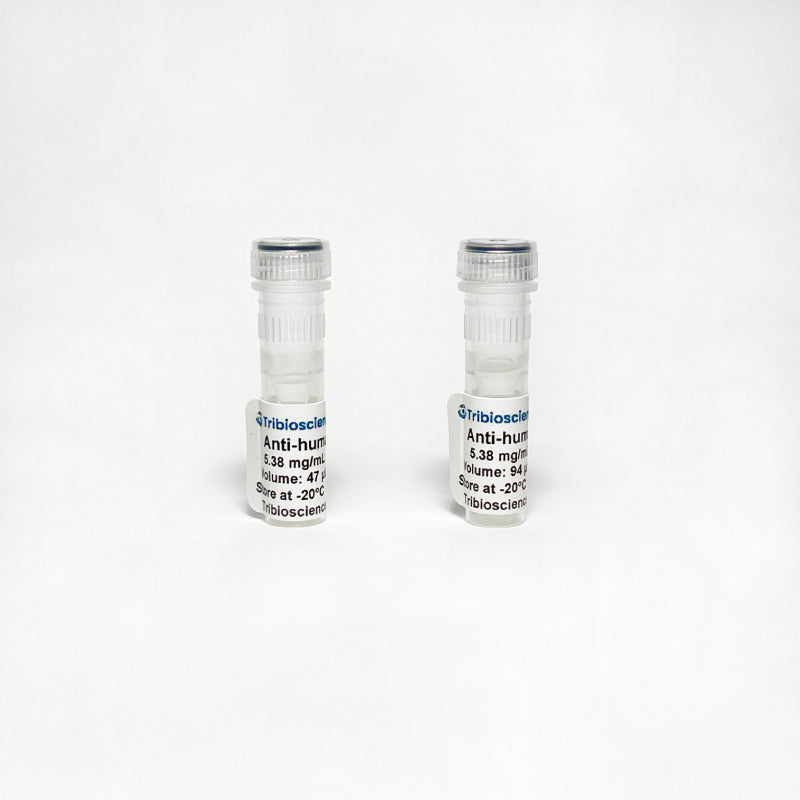 Monoclonal Anti-human IgG antibody.