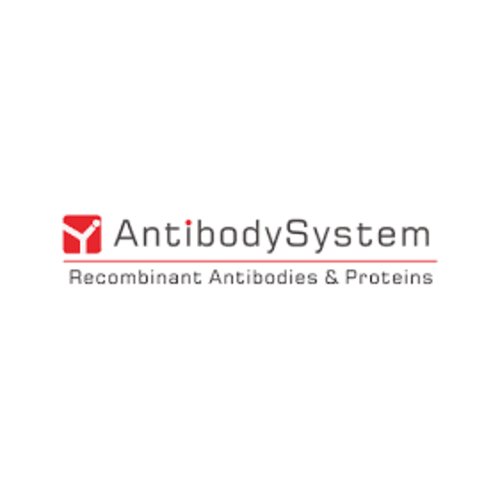 Research Grade Sutimlimab
