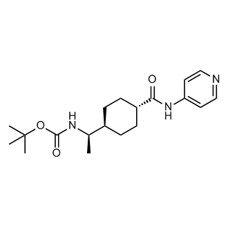 (1R)-trans-4-[N-Boc-1-aminoethyl]-N-4-pyridinyl-cyclohexanecarboxamide