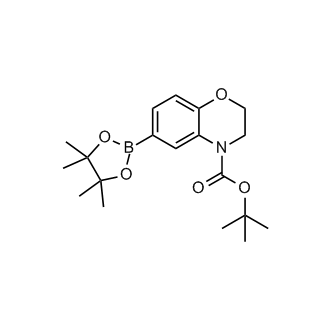 tert-Butyl 6-(4,4,5,5-tetramethyl-1,3,2-dioxaborolan-2-yl)-2H-benzo[b][1,4]oxazine-4(3H)-carboxylate