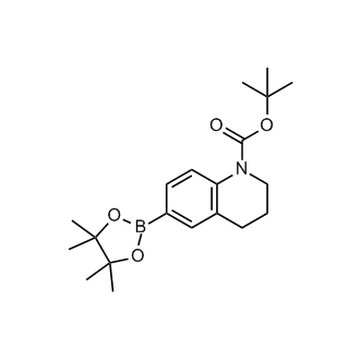 tert-Butyl 6-(4,4,5,5-tetramethyl-1,3,2-dioxaborolan-2-yl)-3,4-dihydroquinoline-1(2H)-carboxylate