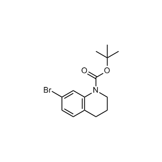 tert-Butyl 7-bromo-3,4-dihydroquinoline-1(2H)-carboxylate