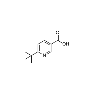 6-(tert-Butyl)nicotinic acid