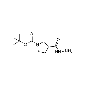 tert-Butyl 3-(hydrazinecarbonyl)pyrrolidine-1-carboxylate