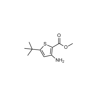 Methyl 3-amino-5-tert-butylthiophene-2-carboxylate