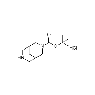 tert-Butyl 3,7-diazabicyclo[3.3.1]nonane-3-carboxylate hydrochloride