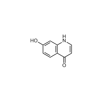 7-Hydroxy-1H-quinolin-4-one