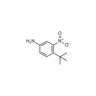 4-tert-Butyl-3-nitroaniline