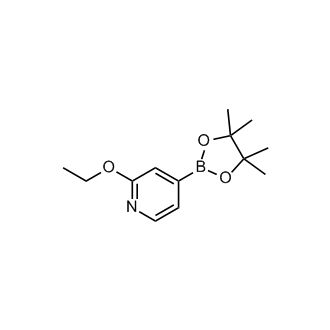 2-Ethoxy-4-(4,4,5,5-tetramethyl-1,3,2-dioxaborolan-2-yl)pyridine