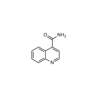 Quinoline-4-carboxamide