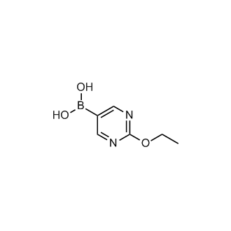 (2-Ethoxypyrimidin-5-yl)boronic acid