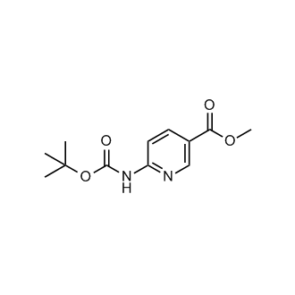 Methyl 6-((tert-butoxycarbonyl)amino)nicotinate