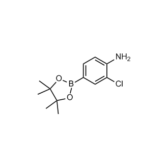 2-Chloro-4-(4,4,5,5-tetramethyl-1,3,2-dioxaborolan-2-yl)aniline