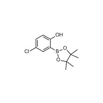 4-Chloro-2-(4,4,5,5-tetramethyl-1,3,2-dioxaborolan-2-yl)phenol